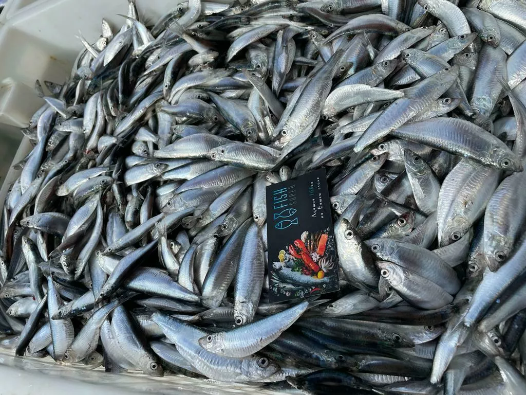 рыба из каспийского моря в ассортименте в Махачкале и Республике Дагестан