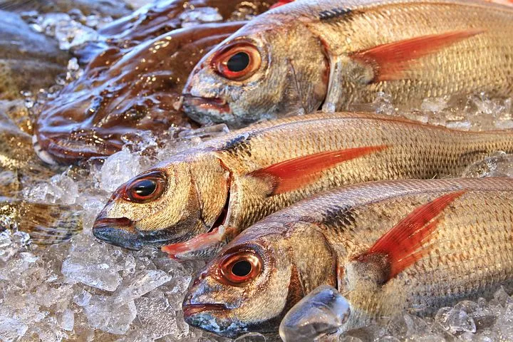 Объем добычи рыбы в Дагестане с начала года вырос в 2,5 раза