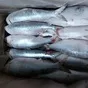 каспийская рыба от производителя оптом. в Кизляре 7
