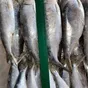 ассортимент Каспийской Рыбы в Кизляре 3