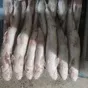 кутум каспийский икряной 0,8-1,5 кг в Махачкале и Республике Дагестан